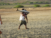 mindelo-sal-santo-antao-capo-verde-115