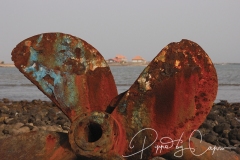 mindelo-sal-santo-antao-capo-verde-121