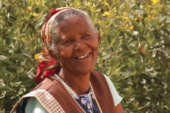 mindelo-sal-santo-antao-capo-verde-124