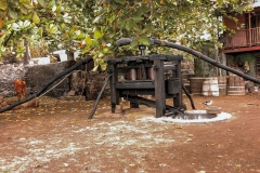 mindelo-sal-santo-antao-capo-verde-139