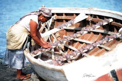 mindelo-sal-santo-antao-capo-verde-146